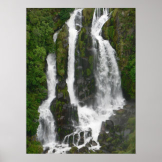 Poster Chutes Waipunga