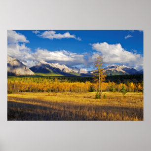 Poster Ciel bleu et nuages au-dessus d'un pré