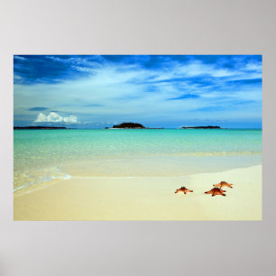 Poster Ciel Bleu, Sable Blanc Et Étoiles De Mer Belitun