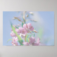 Ciel bleu Vert Plante Feuilles Fleurs violettes