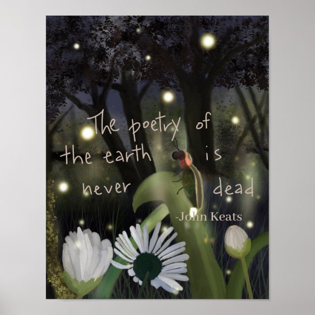 Poster Ciel de luciole (Devant)