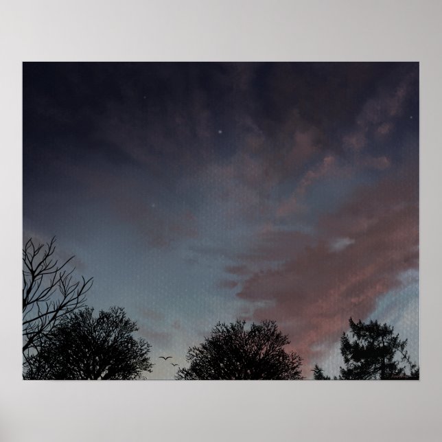 Poster Ciel ensoleillé d'hiver avec étoile (Devant)
