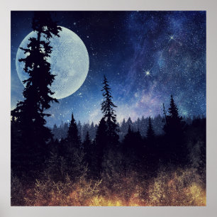 Poster Ciel étoilé et Lune au-dessus d'une forêt