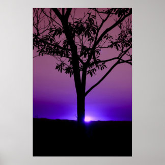 Poster Ciel pourpre