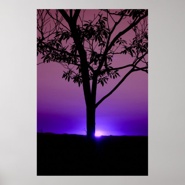 Poster Ciel pourpre (Devant)
