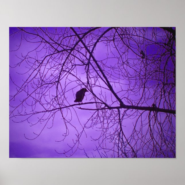 Poster Ciel Violet Corbeau Noir (Devant)