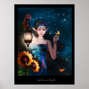 Poster Cieux nocturnes et Butterflys