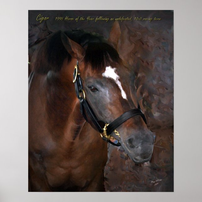 Poster Cigar (Devant)