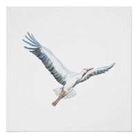 cigogne blanche volant