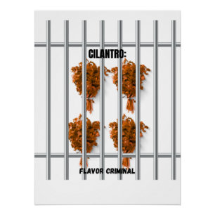 Poster Cilantro : Criminel de saveur - Drôle anti-Cilantr