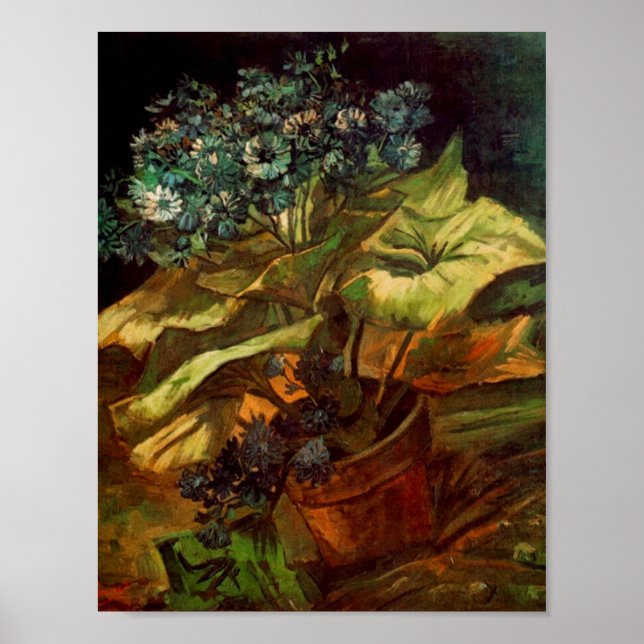 Poster Cineraria dans un pot à fleurs, Art raffiné Van Go (Devant)