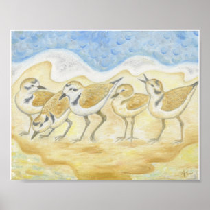 Poster Cinq pluviers sur la copie d'art de plage