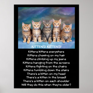 Poster Cinq Tabby Kittens adorables