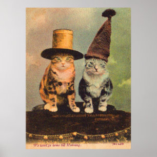 Poster circa 1900 chats en RPPC casquette