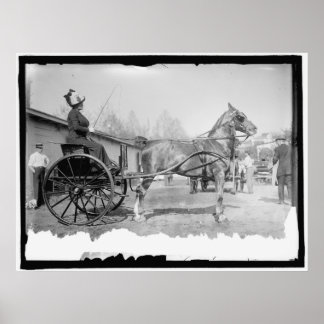 Poster Circa 1911 Horse Photography