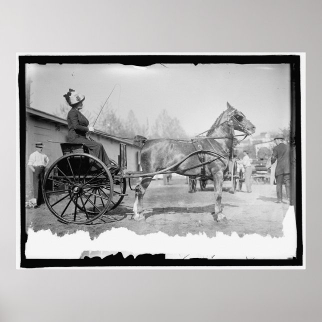 Poster Circa 1911 Horse Photography (Devant)