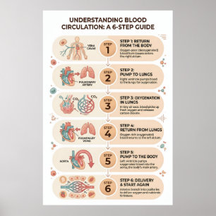 Poster Circulation sanguine humaine : un guide éducatif e