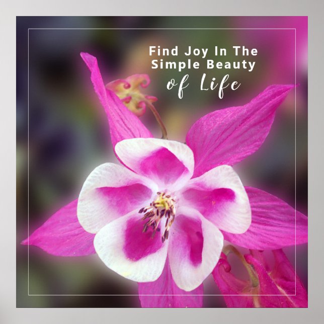 Poster Citation Avec Colonne Photo Fleur (Devant)