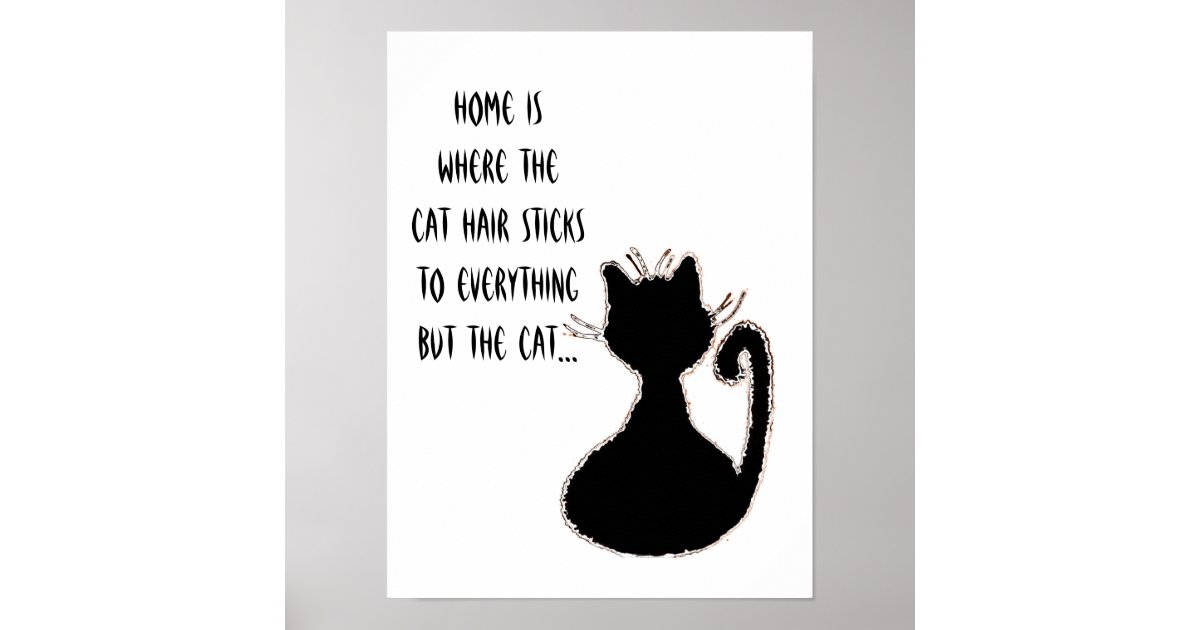 Poster Citation De Cheveux De Chats Amusants Cat Noir Sil Zazzle Ch