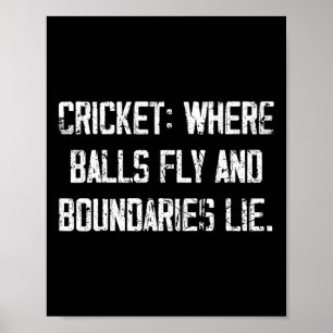 Poster Citation de comédie sur le plaisir du cricket et l