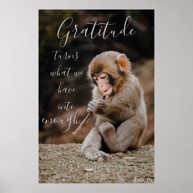 Poster Citation de Gratitude Aesop, singe (Devant)