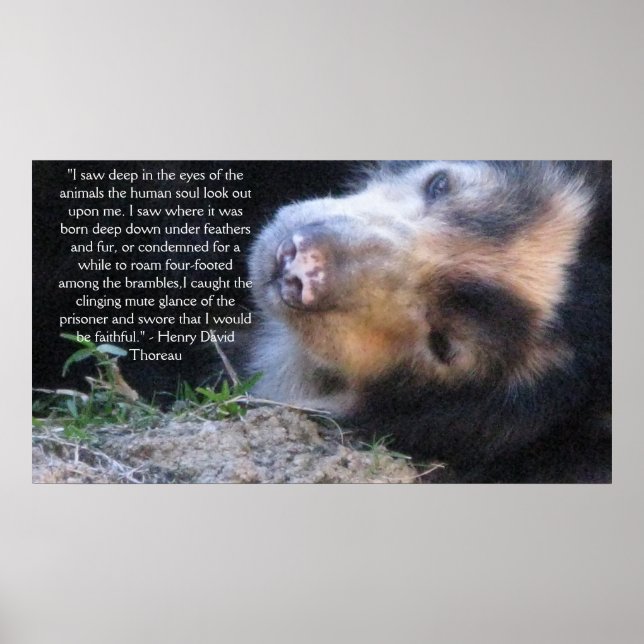 Poster Citation de Henry David Thoreau sur les droits des (Devant)