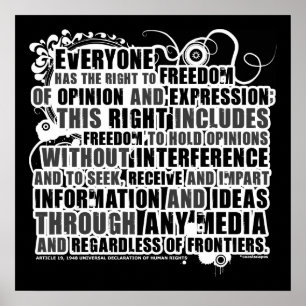 Poster Citation de l'article 19 (B&W)