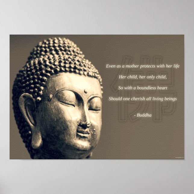 Poster Citation de mère cerise Bouddha Zen Inspiration (Devant)