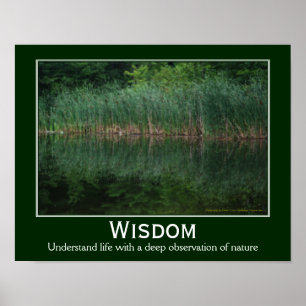 Poster Citation De Sagesse Cattées Dans Pond Inspirationa