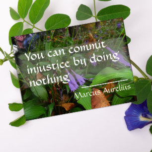 Poster Citation de sagesse latine sur l'affiche de justic