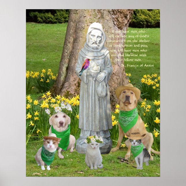 Poster Citation de St. Francis (Devant)