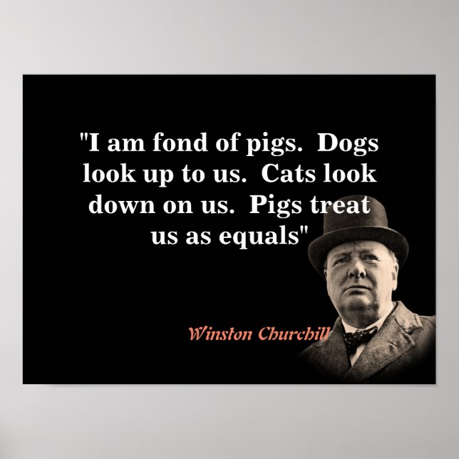 Poster Citation De Winston Churchill Sur Les Cochons (Devant)