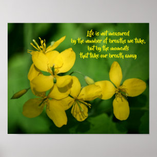 Poster Citation Inspirante de Vie Fleurs Sauvages