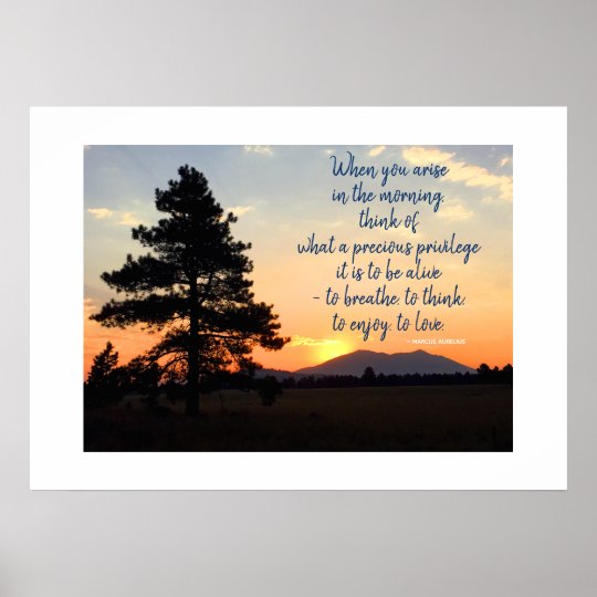 Poster Citation Inspiree De Gratitude De La Photographie Zazzle Ch