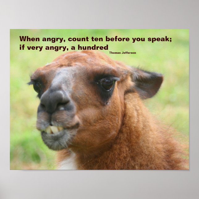 Poster Citation Llama Anger Inspiration (Devant)