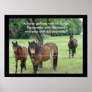 Poster Citation motivante avec des chevaux