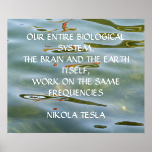 POSTER CITATION NIKOLA TESLA - MÊMES FRÉQUENCES -