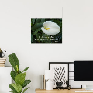 Poster Citation Philosophique d'Aristote sur le Lys Calla