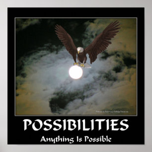 Poster Citation Possibilités Aigle à tête blanche Pleine