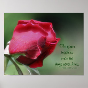 Poster Citation sur le vieillissement de la sagesse Roseb