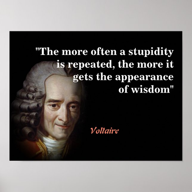 Poster Citation Voltaire Sur La Stupidité Et La Sagesse (Devant)