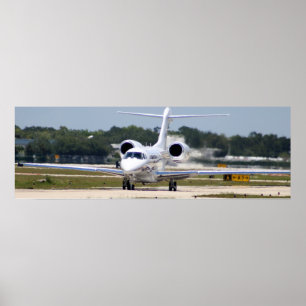 Poster Citation X