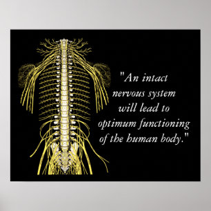 Poster Citations Chiropratiques et déclarations Nerves