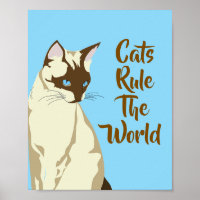 Citations de chat siamois