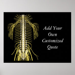 Poster Citations et déclarations chiropratiques Customisé