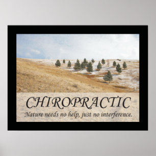 Poster Citations et déclarations de chiropratique Nature