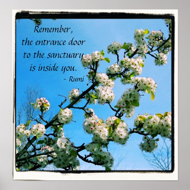 Poster Citations Sage Floral Printemps (Devant)