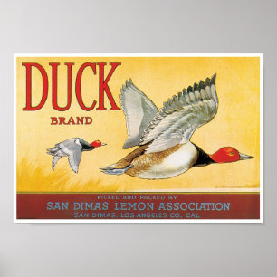 Poster Citron San Dimas le comté de Los Angeles la