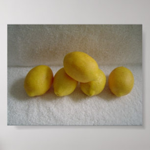 Poster Citrons simples