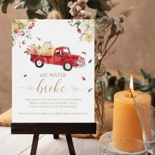 Poster Citrouille Automne Baby shower My Water Broke Jeu